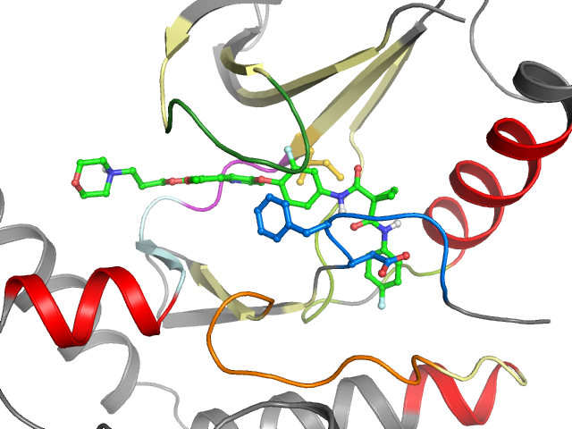 The orthosteric binding pocket