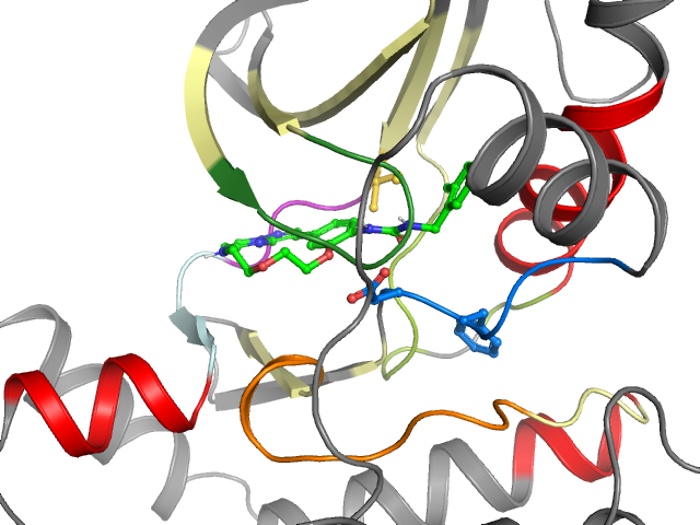 The orthosteric binding pocket