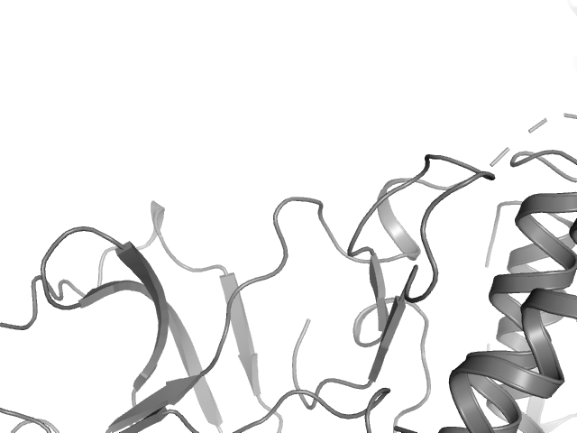 The orthosteric binding pocket