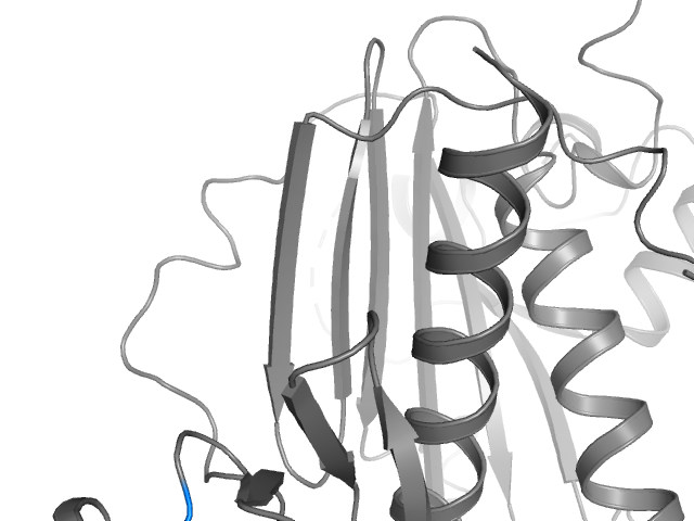 The orthosteric binding pocket