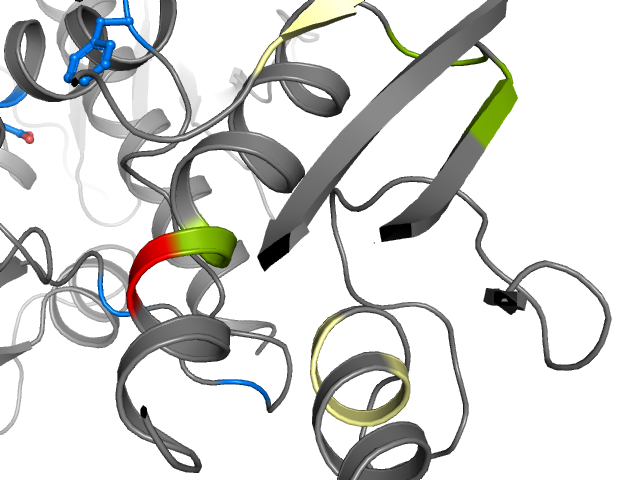 The orthosteric binding pocket