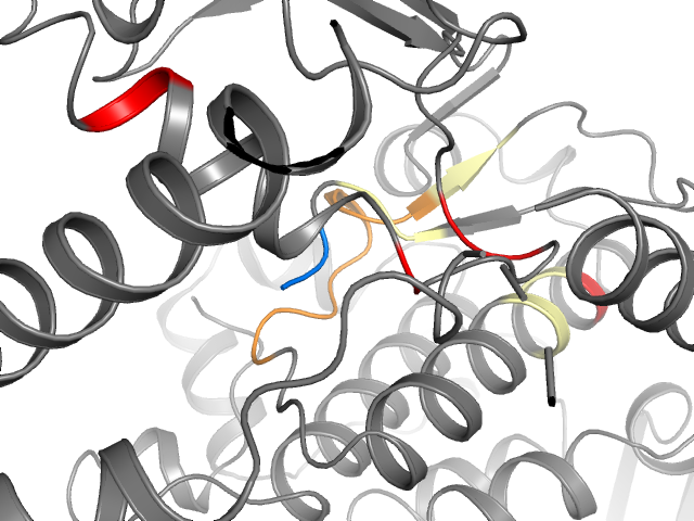 The orthosteric binding pocket