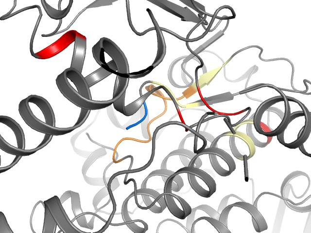 The orthosteric binding pocket