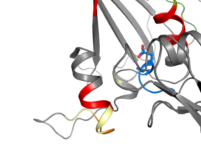 The orthosteric binding pocket