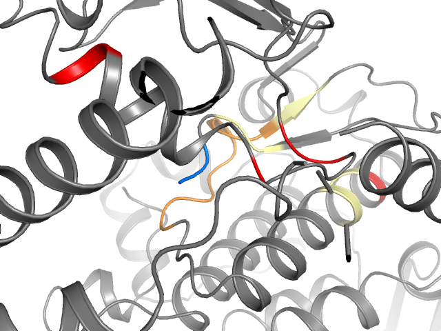 The orthosteric binding pocket