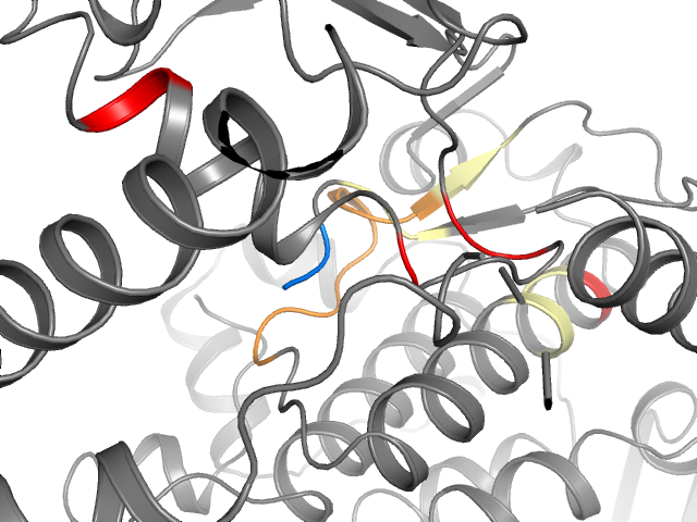 The orthosteric binding pocket