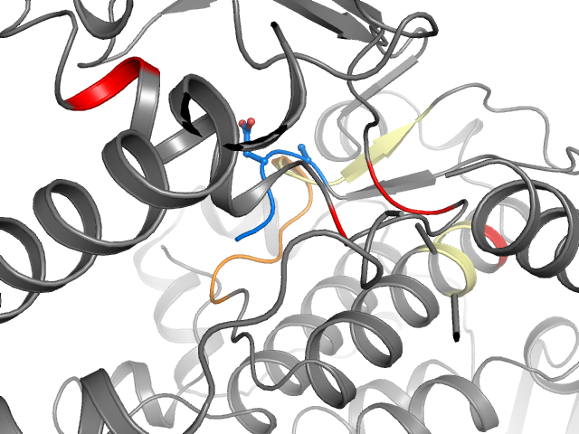 The orthosteric binding pocket