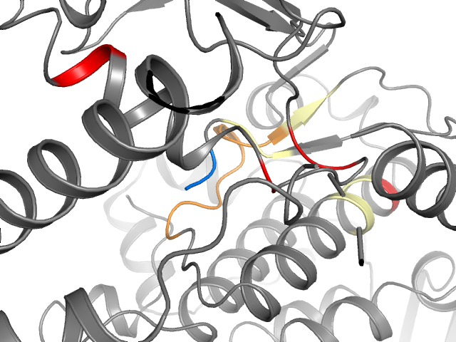 The orthosteric binding pocket