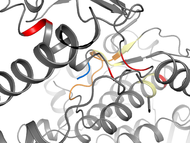 The orthosteric binding pocket
