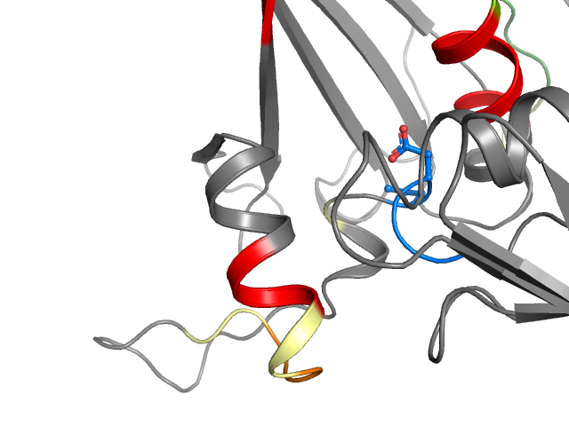 The orthosteric binding pocket