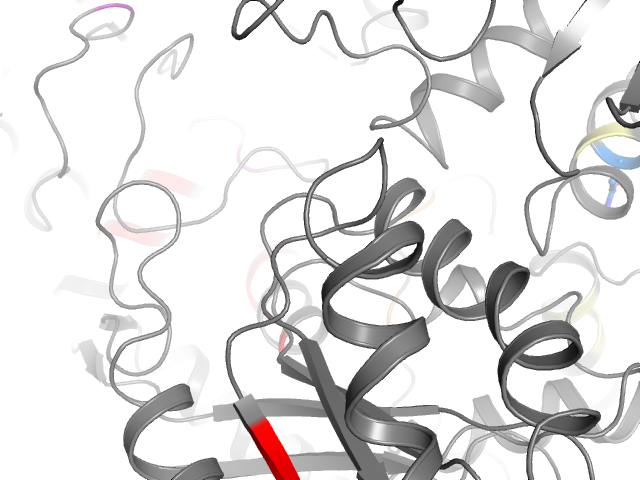 The orthosteric binding pocket