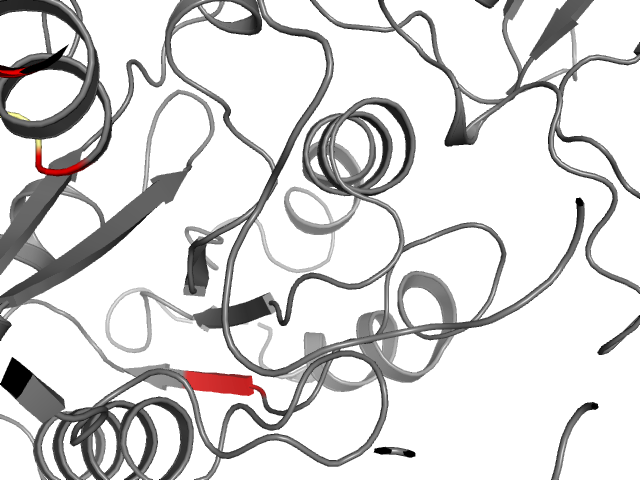 The orthosteric binding pocket