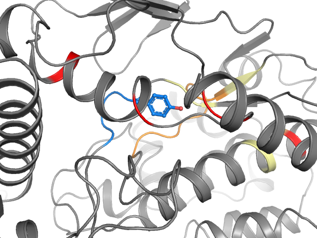 The orthosteric binding pocket