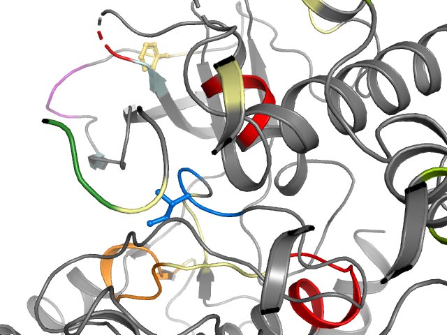 The orthosteric binding pocket