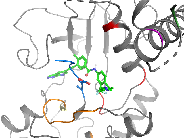 The orthosteric binding pocket