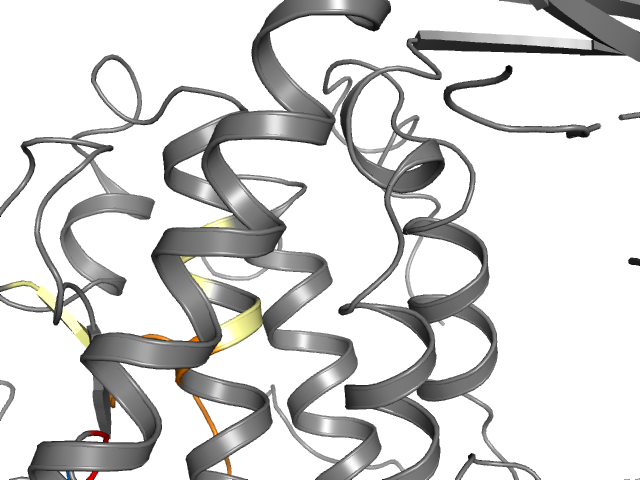 The orthosteric binding pocket