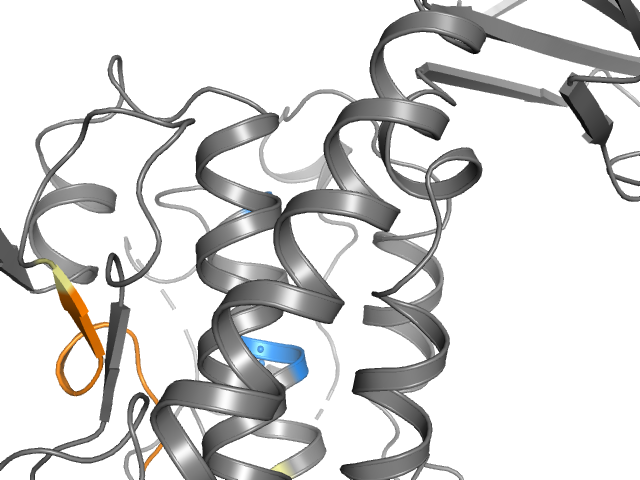 The orthosteric binding pocket