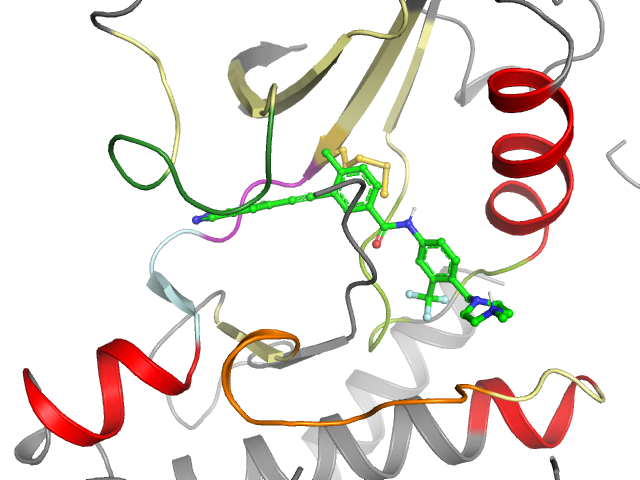 The orthosteric binding pocket