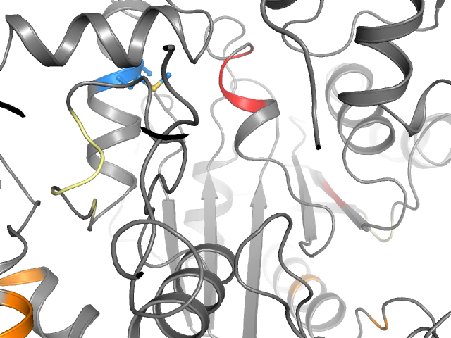 The orthosteric binding pocket