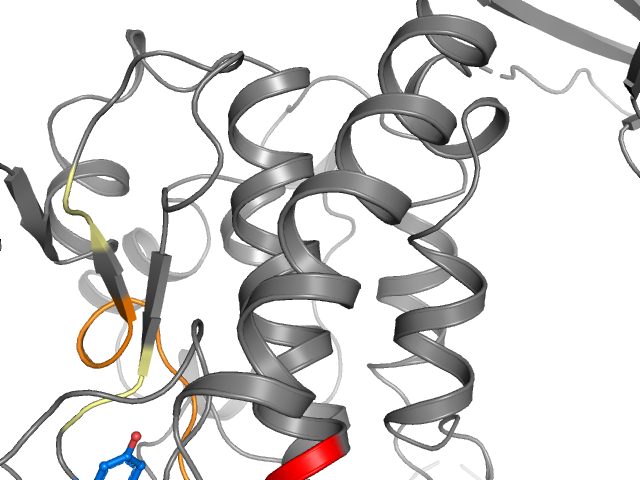 The orthosteric binding pocket