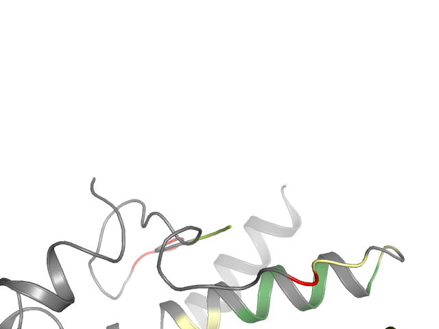 The orthosteric binding pocket