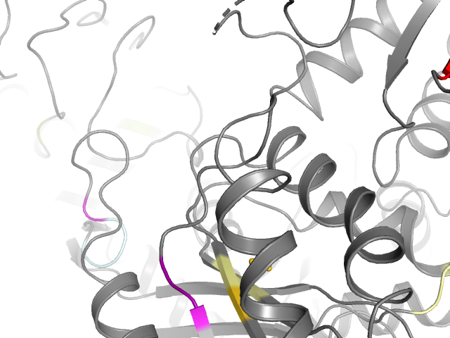 The orthosteric binding pocket