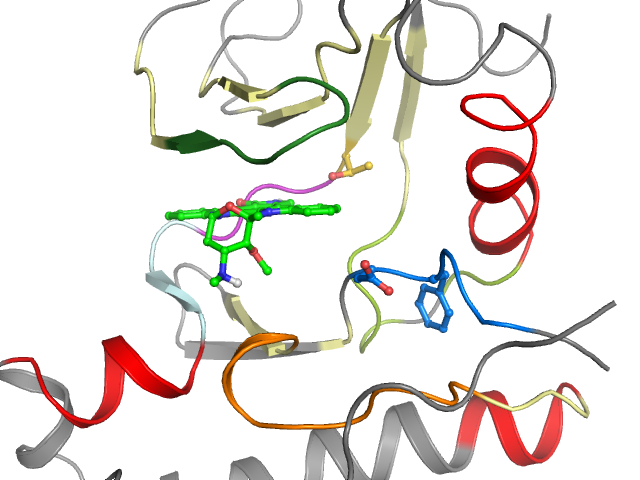 The orthosteric binding pocket