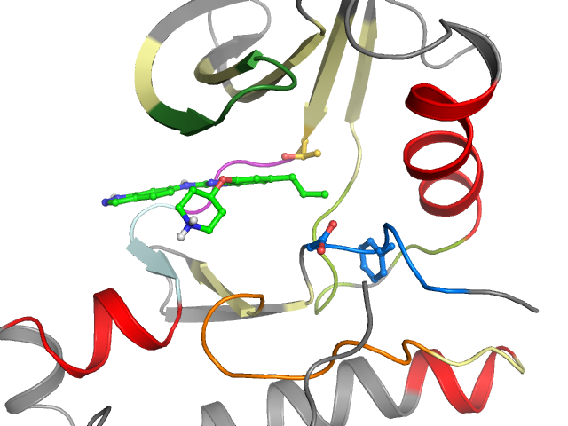The orthosteric binding pocket