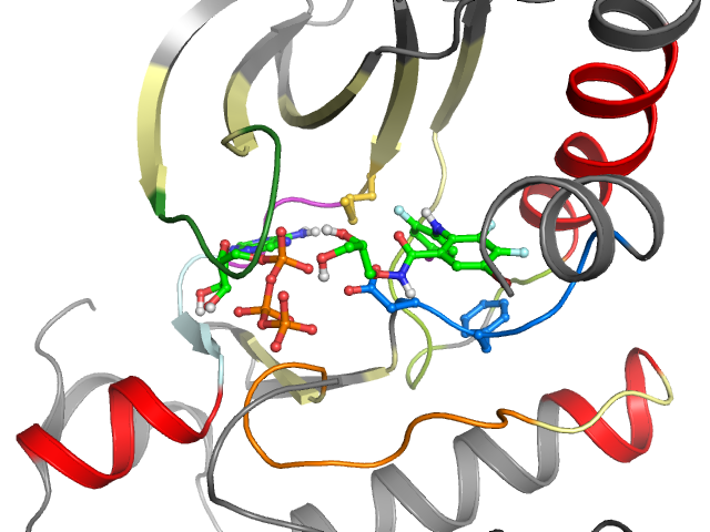 The orthosteric binding pocket
