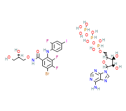 2D structure of the orthosteric ligand
