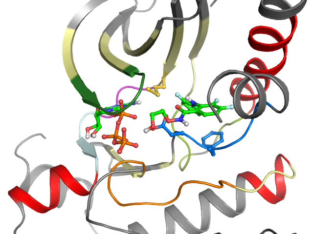 The orthosteric binding pocket