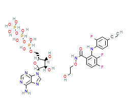 2D structure of the orthosteric ligand