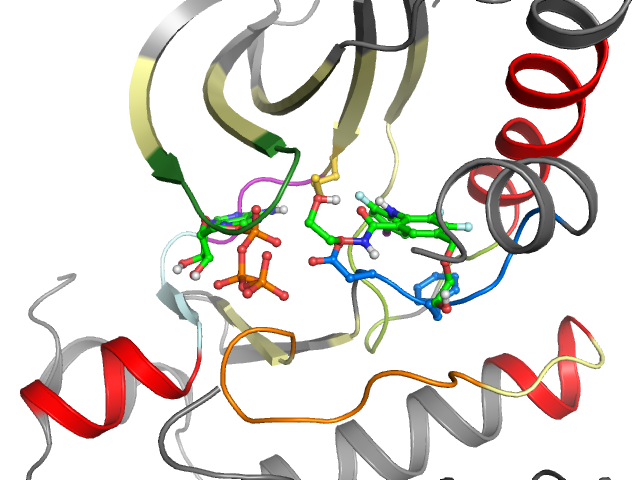 The orthosteric binding pocket