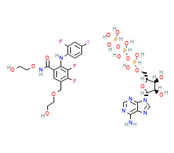 2D structure of the orthosteric ligand