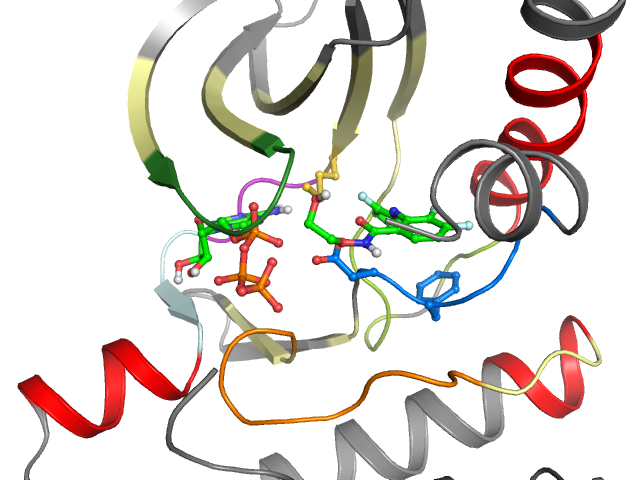 The orthosteric binding pocket