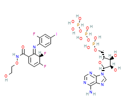 2D structure of the orthosteric ligand