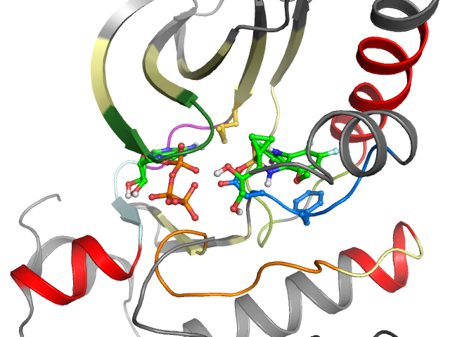 The orthosteric binding pocket