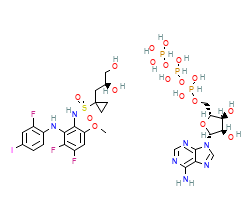 2D structure of the orthosteric ligand