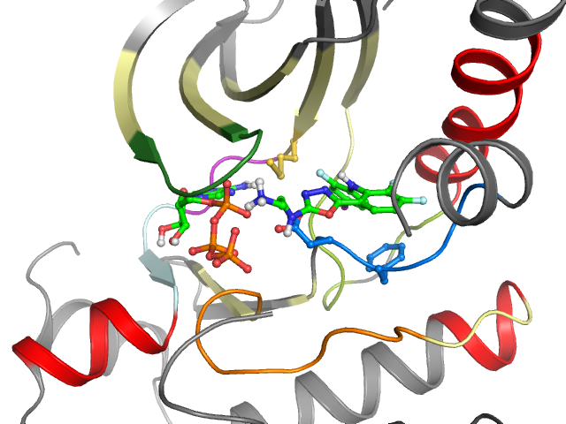 The orthosteric binding pocket