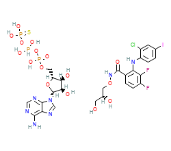 2D structure of the orthosteric ligand