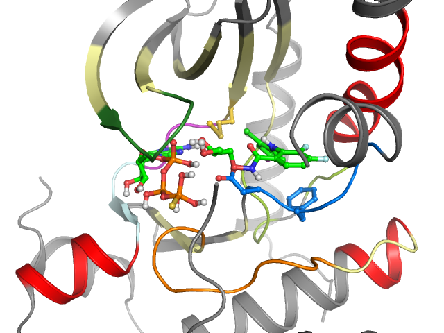 The orthosteric binding pocket