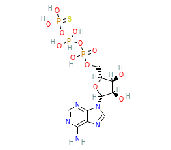 2D structure of the orthosteric ligand