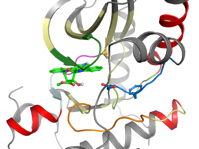 The orthosteric binding pocket