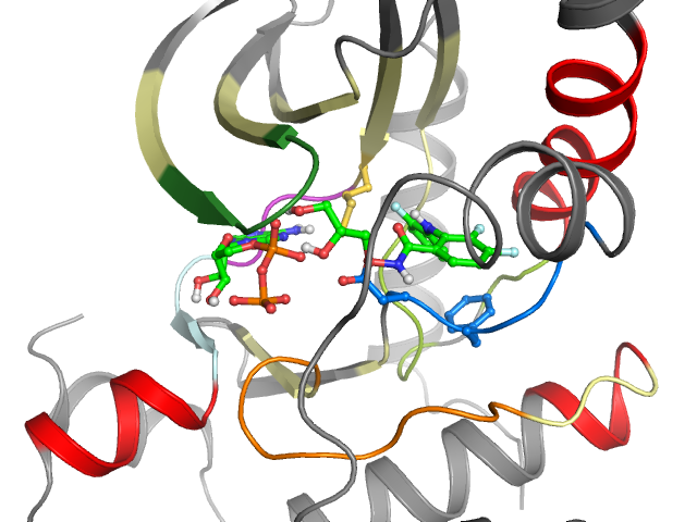 The orthosteric binding pocket