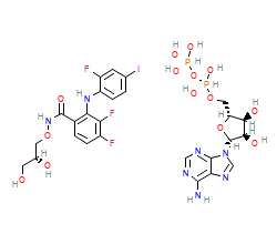 2D structure of the orthosteric ligand