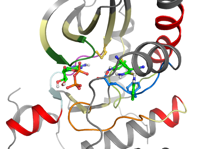 The orthosteric binding pocket