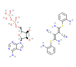 2D structure of the orthosteric ligand