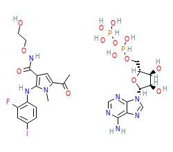2D structure of the orthosteric ligand