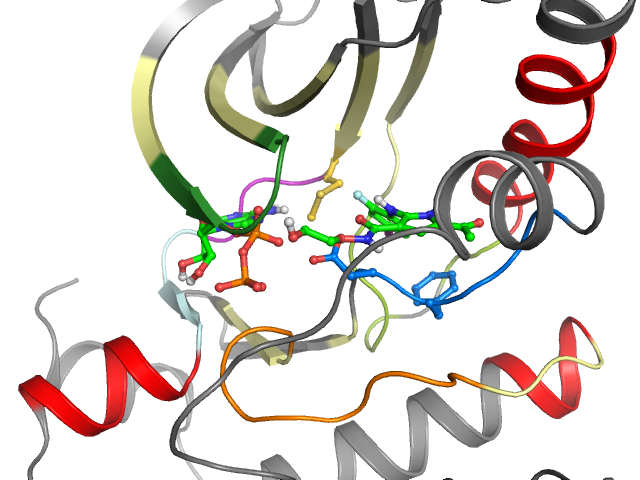 The orthosteric binding pocket