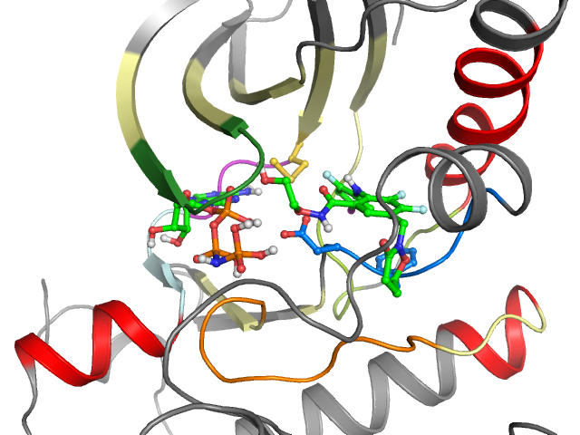The orthosteric binding pocket